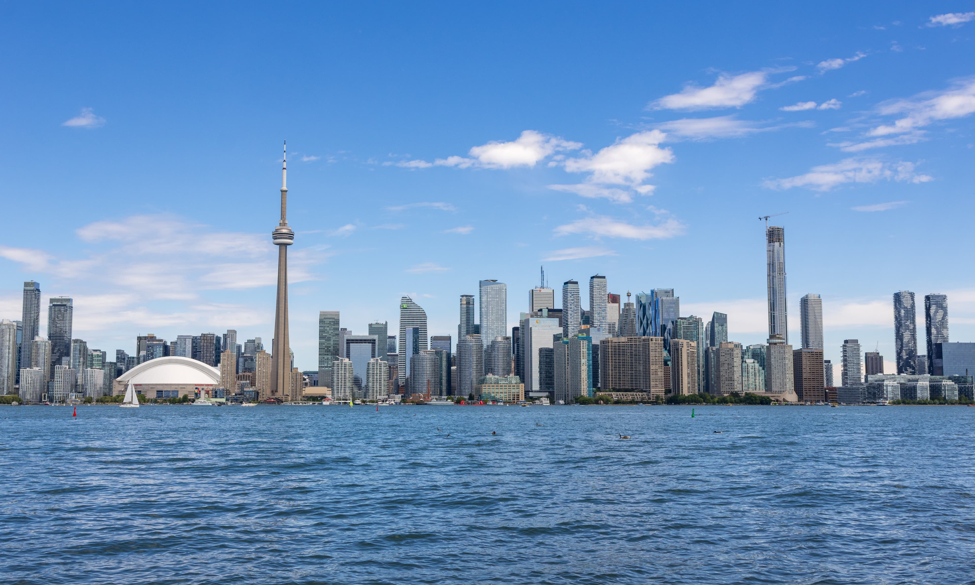 Web design and SEO services in Toronto, Ontario